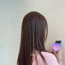 정다운헤어 - 부천시 원미구 | 정다운헤어