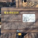 부부담다