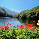 여정 / 주현미 이미지