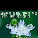 시천교 이미지