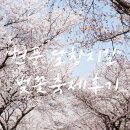 달창로,달창로26길 네이버블로그
