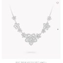 와일드 플라워 이미지