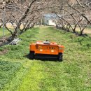 (주)에스엔 이미지