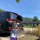 율대카라반 이미지