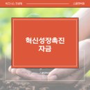 전략혁신연구소 | 혁신성장촉진자금 후기 승인 선점 전략