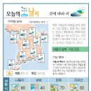 똘레랑스님 - 6월8일 영상컬럼 이미지