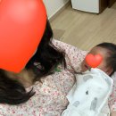 (주)카리스 서울영업소 | 🍼 카리스산후조리원 후기2 | 조리원 분유추천, 관악구 산후조리원, 산후조리원추천, 동작구산후조리원...