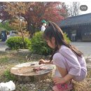 운악홀리데이 이미지