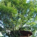 산중펜션 이미지