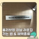 영스낵 - 노원구 한글비석로 245 | 올리브영 센트럴 강남 라운지 가는 법, 스낵음료 종류 및 후기