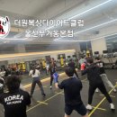 더 프리미엄 복싱 이미지