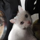 귀족동물병원 이미지