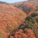 주림 경북매일