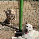 준독트레이닝센터 이미지