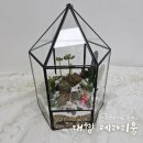 플라워&홈가드닝 | [가든 앤 플라워] 대형 테라리움 만들기 후기