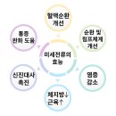대단한몸매 이미지