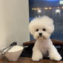 서운로 178 이미지