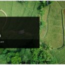 마하나임영농조합법인 이미지