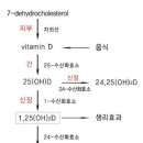 비타민수산 이미지