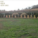 상조도보건진료소 이미지