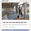 기특이네 농장 이미지