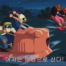 과일스토리