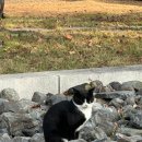 (주)황솔촌상무점 | I love you, partner