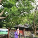 삼성혈분식 이미지