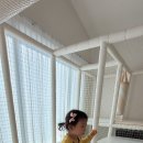 오복지 펜션 이미지