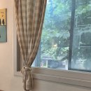 고기러버 육식주의 사람도 맛있게 먹을 수 있는 채식, 망원동 비건식당 어라운드그린