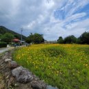 금진초등학교 이미지