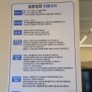 일랑일랑 | 제주 애견동반 캠핑장 일랑일랑 애견캠핑 인 제주 이용 후기