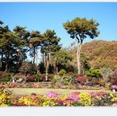 수목원 이미지