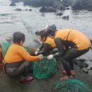 한라앤탐 이미지