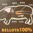 고기종점 이미지