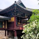 송광사 이미지