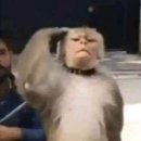 메리제인 카페 이미지