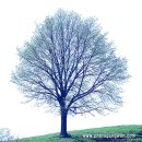 사진 카메라 아카데미 이미지