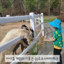 설화펜션 | 아이들과 가기 좋은 대구 군위 삼국유사 테마파크 관람팁 및 후기