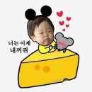 스타럭스 이미지