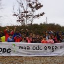 돌산캠핑장 이미지