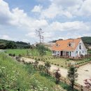 자연나라 이미지