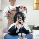 하비헤어 이미지