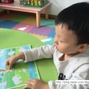 안산루켄 이미지