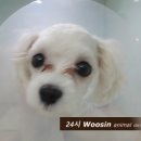 가락종합동물병원 이미지