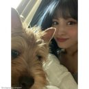 바른이불 이미지
