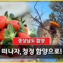 함양대봉산농원 네이버블로그