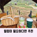그집이야기펜션 - 경주시 동천중리1길 29 | 하동 녹차밭 도심다원 예약해야할까