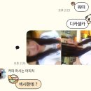 알콩달콩 애견샵 | 나 드레스 골랐다.