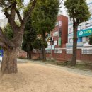 서울신양초등학교 이미지